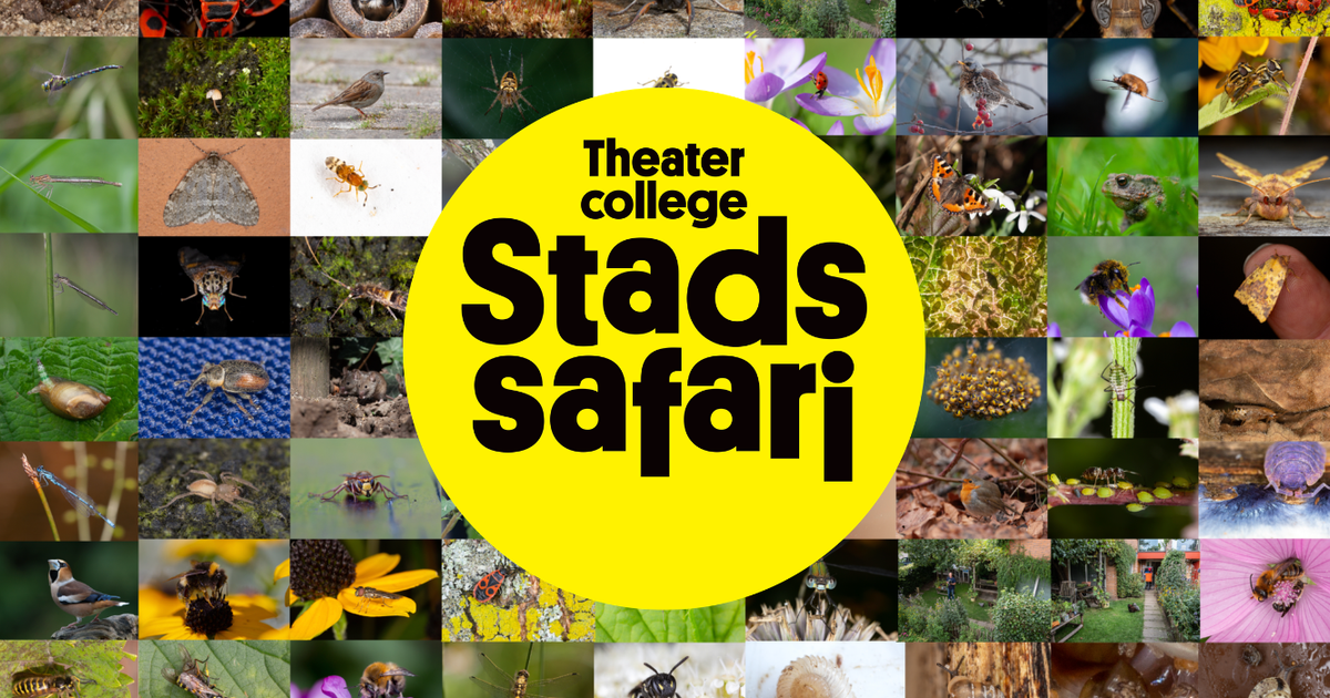 Stadssafari | Luc Hoogenstein | 7 mei
