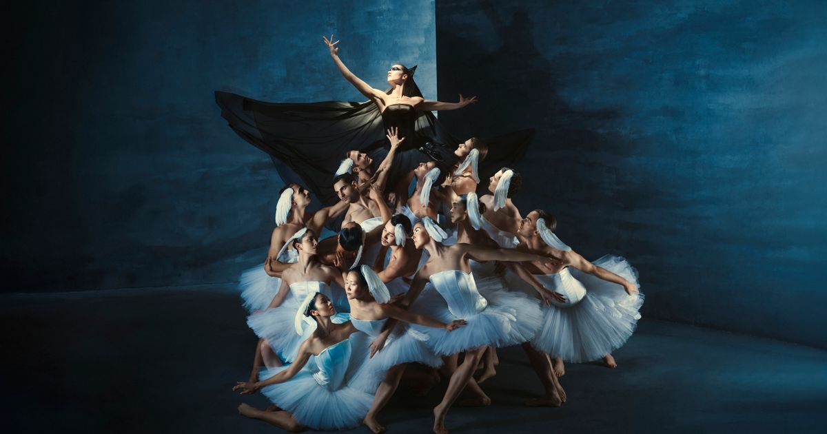 Introdans | Swan Lake | 23 dec